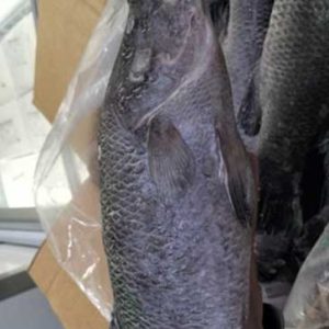 BARRAMUNDI (FROZEN)