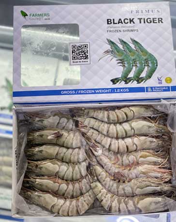 BLACK TIGER HOSO 10/20