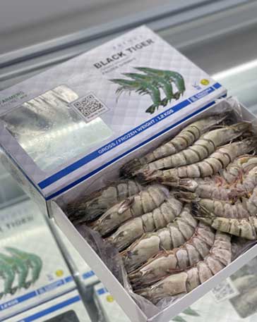 BLACK TIGER HOSO 10/20 - Image 2