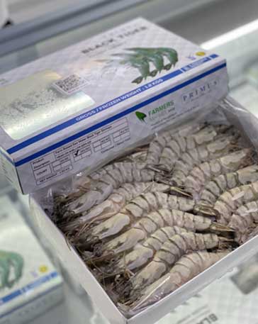 BLACK TIGER HOSO 20/30 - Image 3