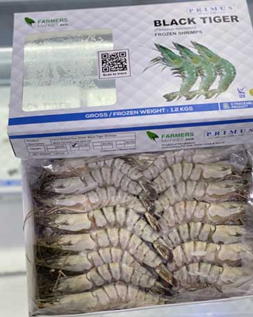 BLACK TIGER HOSO 20/30