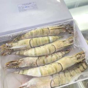 BLACK TIGER TAIL ON U/7