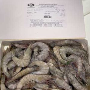 VANNAMEI SHRIMP 20/30
