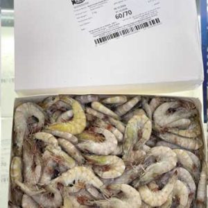 VANNAMEI SHRIMP 60/70